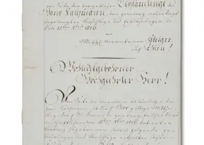 Historisches Dokument von 1810 mit handschriftlichem Text in deutscher Kurrentschrift.