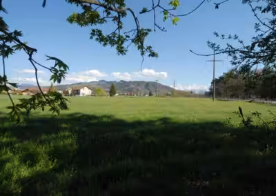 Grüne Wiese mit Stromleitungen und Bäumen im Vordergrund, Dorf und Berge im Hintergrund unter blauem Himmel.