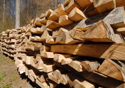 Gestapelte Holzscheite im Wald, bereit zur Weiterverarbeitung oder als Brennholz verwendet. Sonniger Tag im Frühling.