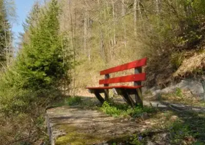 Rote Bank am Waldrand bei Sonnenschein, umgeben von Frühlingsblumen und Bäumen. Perfekte Pause beim Wandern.