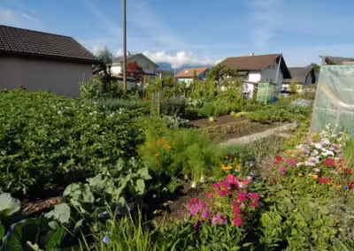 Gemüsegarten mit Blumen, Gewächshaus und Häusern im Hintergrund an einem sonnigen Tag.