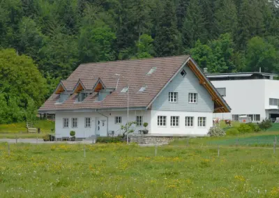 Alpenhaus mit Giebeldach in grüner Wiesenlandschaft vor dichtem Wald. Ideal für Landhausurlaub oder alpines Wohnen.