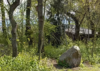 Stein im Wald mit Bäumen und grünem Laub, Hintergrund zeigt ein kleines, verstecktes Haus.