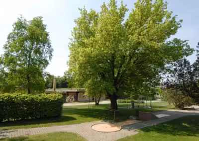 Grüner Garten mit großen Bäumen, gepflasterten Wegen und Rasenfläche an einem sonnigen Tag.