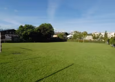 Grüner Fußballplatz mit Toren unter blauem Himmel, umgeben von Bäumen und Häusern in einem Wohngebiet.