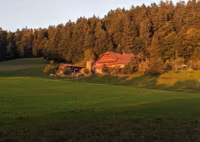 Bauernhaus am Waldrand im Sonnenuntergang, umgeben von grüner Wiese und Bäumen. Friedliche ländliche Idylle.