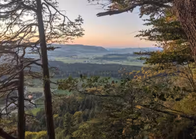 Waldlandschaft im Sonnenuntergang mit Blick auf ein grünes Tal und entfernte Hügel, eingerahmt von Bäumen im Vordergrund.
