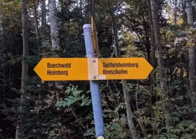 Wegweiser im Wald zeigt Richtungen zu Buechwald, Heimberg, Spittelsheimberg und Brenzikofen, umgeben von Bäumen.